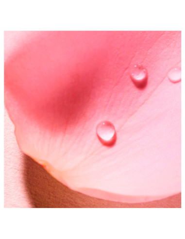 Very Rose Agua Voluptuosa Perfumada