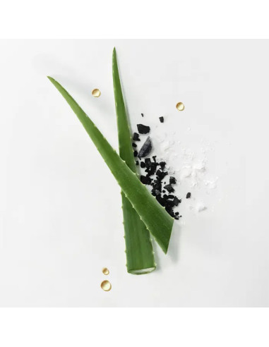 Exfoliante purificante Detox