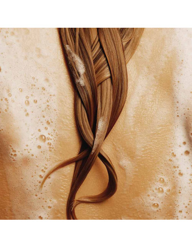 The Rich Shampoo