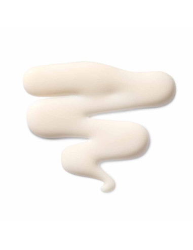 The Leave In Hair Treatment