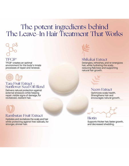 The Leave In Hair Treatment