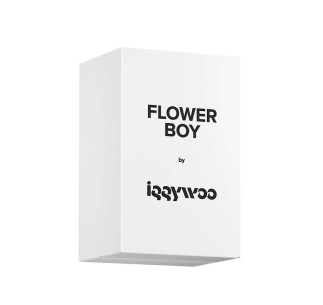 Flower Boy 2