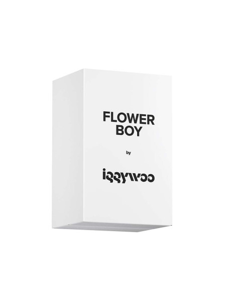 Flower Boy
