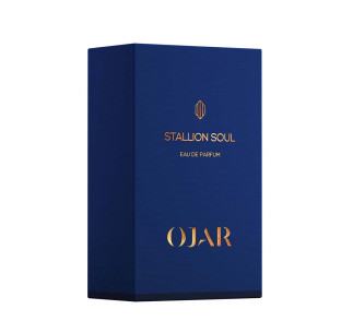 Stallion Soul 2