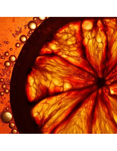 Solar Flair