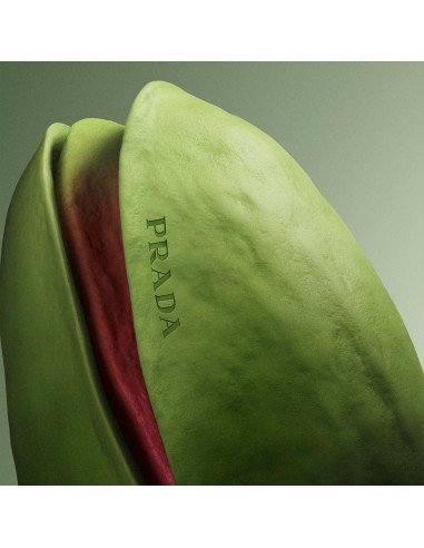 Paradoxe Radical Essence