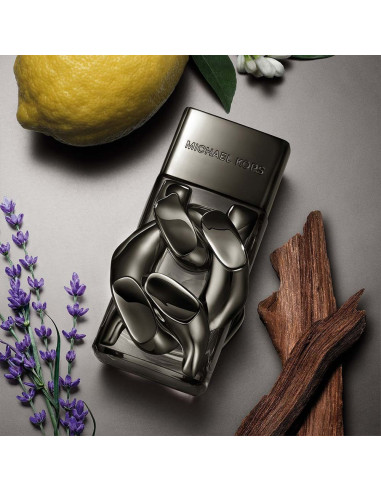 Michael Kors Pour Homme Absolu