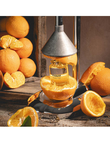 Orange Crush Extrait de Parfum
