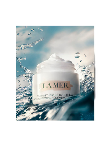 The Moisturizing Soft Cream