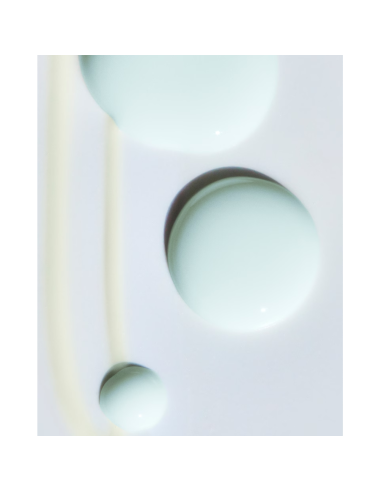 The Revitalizing Hydrating Serum
