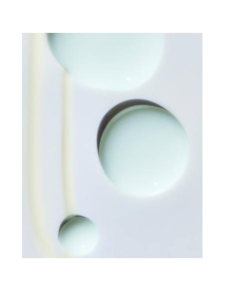 The Revitalizing Hydrating Serum