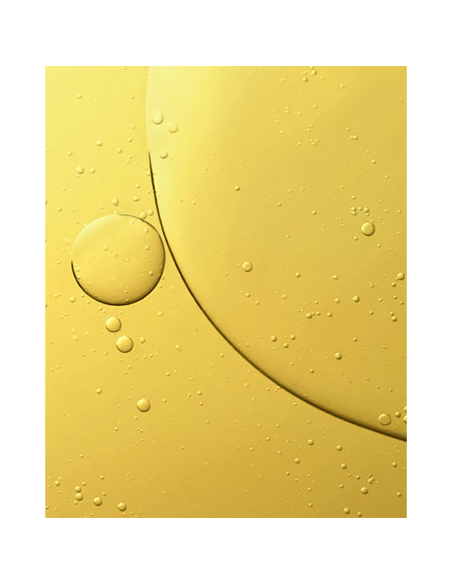 The Renewal Oil