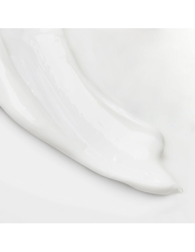 The Body Lotion