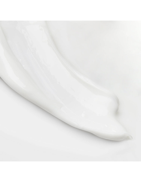 The Body Lotion