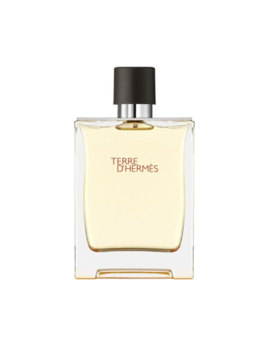 Terre D'Hermès EDT