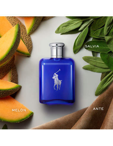 Polo Blue EDT