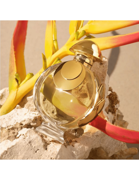 Olympéa Elixir EDP